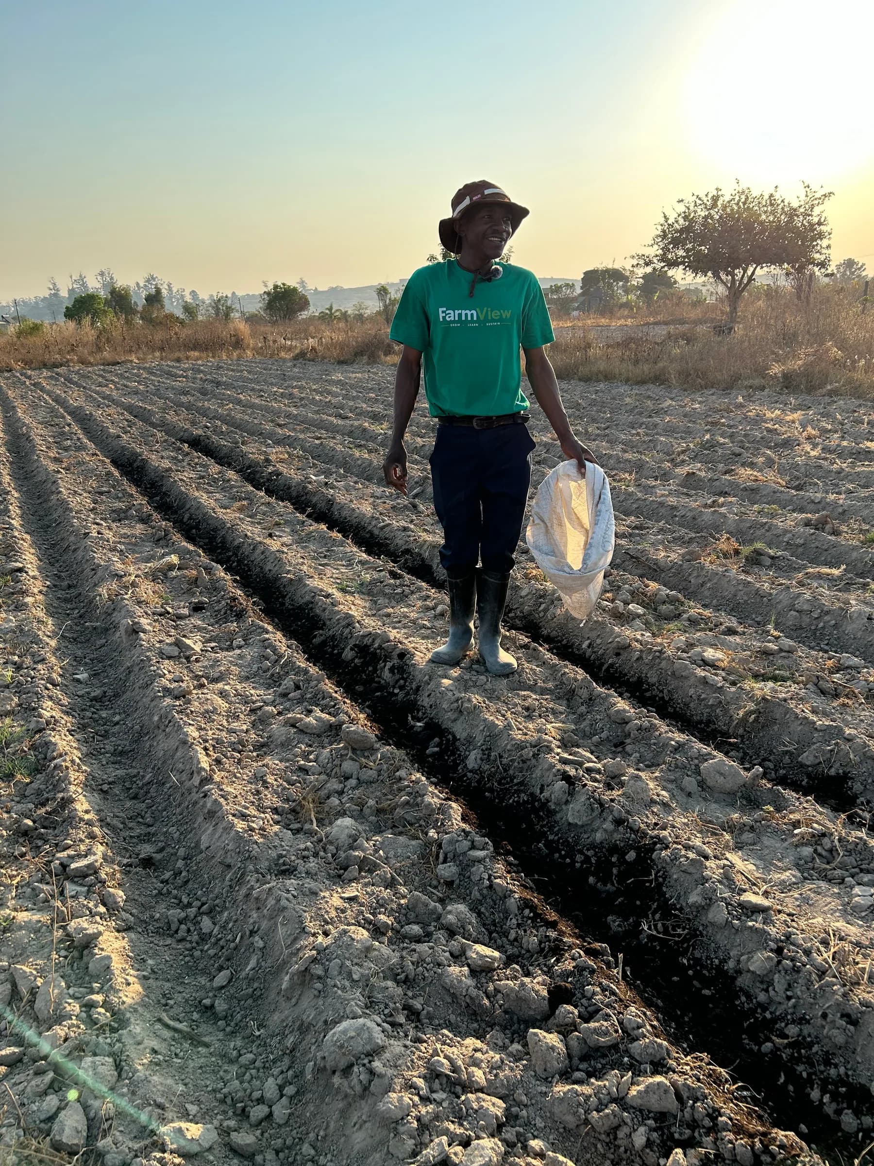 FarmView team member in the prepared potato ridges during planting